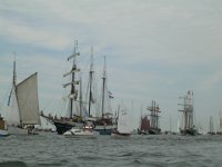 Hanse sail 2010.SANY3842